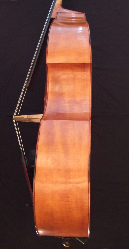Malcolm Healey double bass side